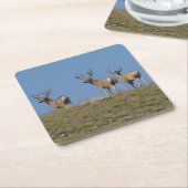 ベルベットのD9ミューレディアバックス スクエアペーパーコースター (アングル)