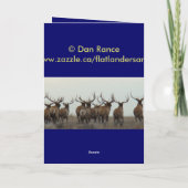 ベルベットのE9ブルエルク カード (裏面)