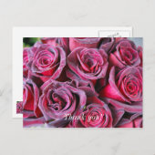 ベルベットビューティー感謝のポストカード ポストカード (正面/裏面)