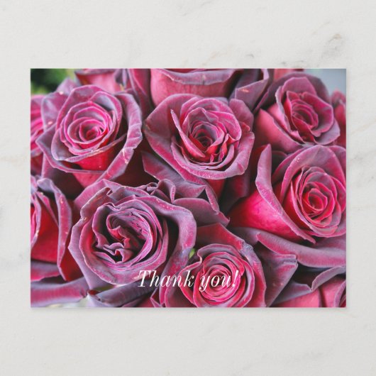 ベルベットビューティー感謝のポストカード ポストカード (正面)