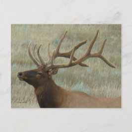ベルベットヘッドショットプロファイルのE9 Bull Elk ポストカード