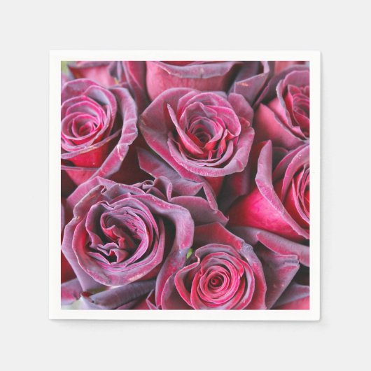 ベルベット美しい スタンダードカクテルナプキン (正面)