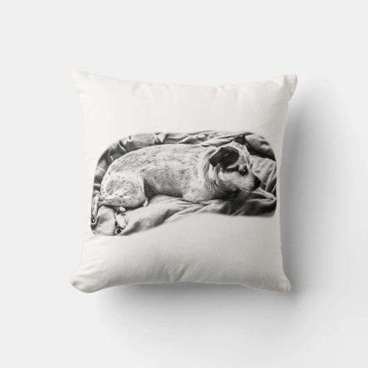 ベルベット調のテリア 静かな休息 クッション (正面)