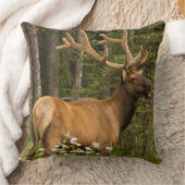 ベルベット，カナダ クッション (ブランケット)