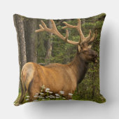 ベルベット，カナダ クッション (裏面)