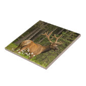 ベルベット，カナダ タイル (側面)