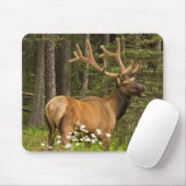 ベルベット，カナダ マウスパッド (マウス)
