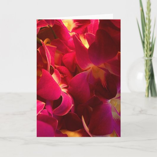 ベルベット サンキューカード (正面)