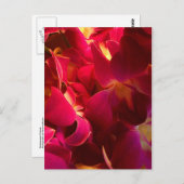 ベルベット ポストカード (正面/裏面)