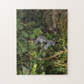 ベルベティーンのウサギのパズル ジグソーパズル (縦)