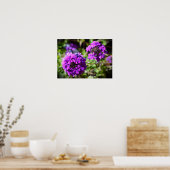 ベルベナ ポスター (キッチン)