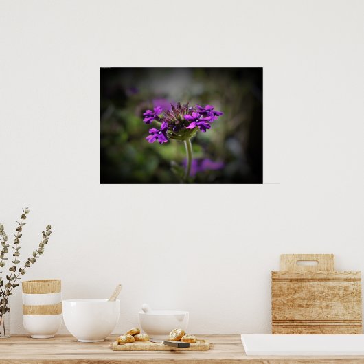 ベルベナ ポスター (キッチン)