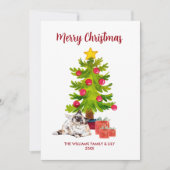 ベルマンキャットファミリークリスマス シーズンカード (正面)