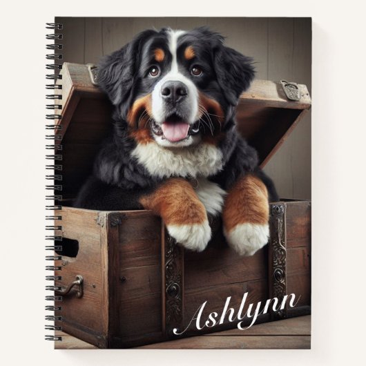 ベルメッセンマウンテンドウインアザヴィンテージ ノートブック (正面)