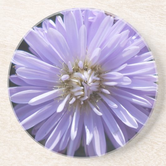 ベルリネット コースター (正面)