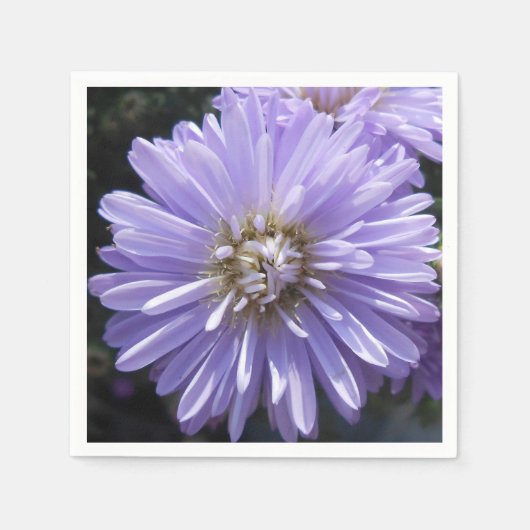 ベルリネット スタンダードカクテルナプキン (正面)