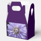 ベルリネット フェイバーボックス (オープン)