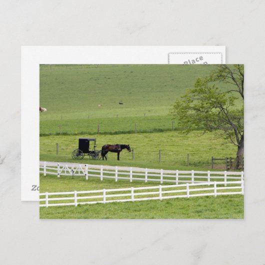 ベルリンの近くの馬と乳母車を持つアミッシュな農場 ポストカード (正面/裏面)