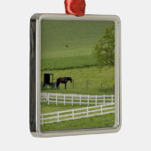 ベルリンの近くの馬と乳母車を持つアミッシュな農場 メタルオーナメント (右)