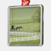 ベルリンの近くの馬と乳母車を持つアミッシュな農場 メタルオーナメント (左)