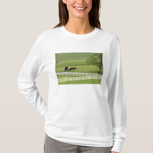 ベルリン近くのアーミッシュの農場と馬車 Tシャツ (正面)