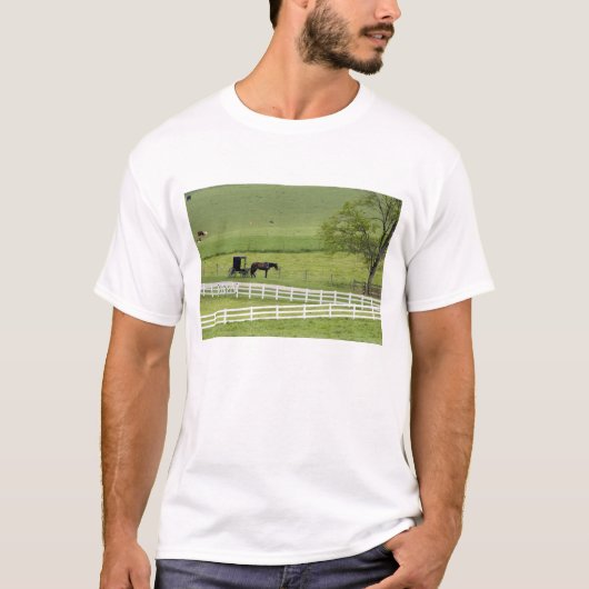 ベルリン近くのアーミッシュの農場と馬車 Tシャツ (正面)