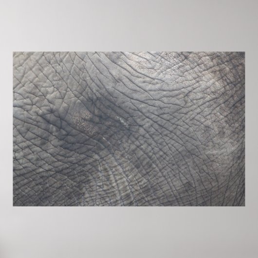 ベルリン ポスター (正面)