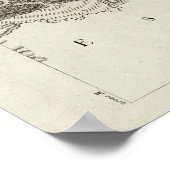 ベルレガルド ポスター (角)