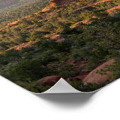 ベルロックサンセット ポスター (角)