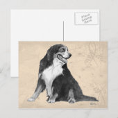 ベルンの山犬 ポストカード (正面/裏面)