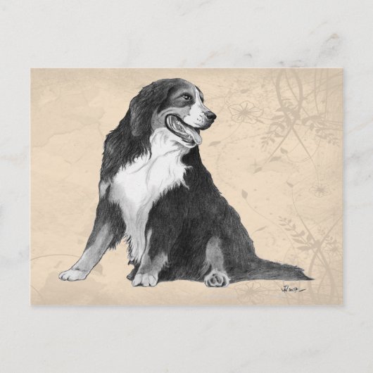 ベルンの山犬 ポストカード (正面)