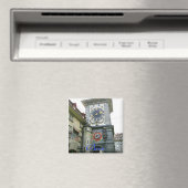 ベルンスイス磁石 マグネット (インサイチュ (食洗機))