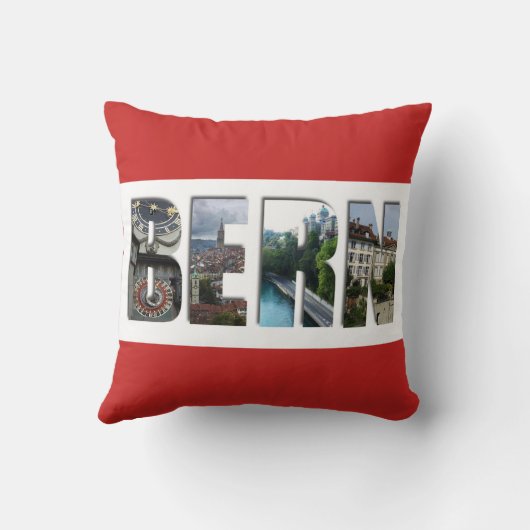 ベルンスイス クッション (裏面)