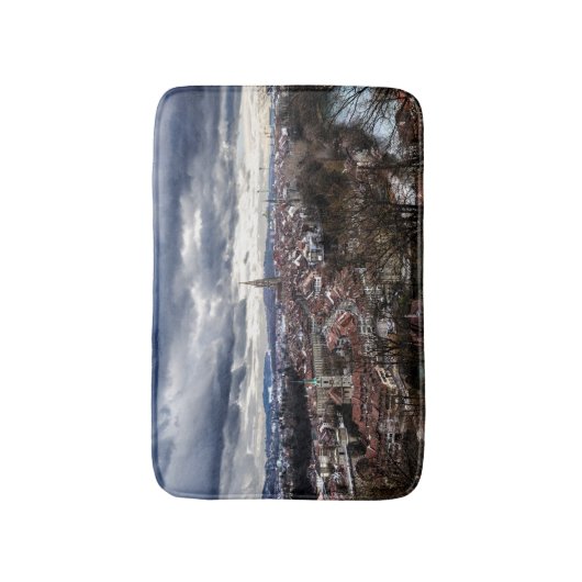 ベルン バスマット (正面縦)