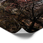 ベルン ポスター (角)