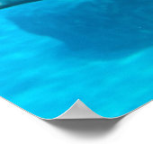 ベルーガクジラ ポスター (角)