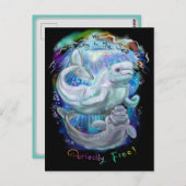 ベルーガクジラ ポストカード (正面/裏面)