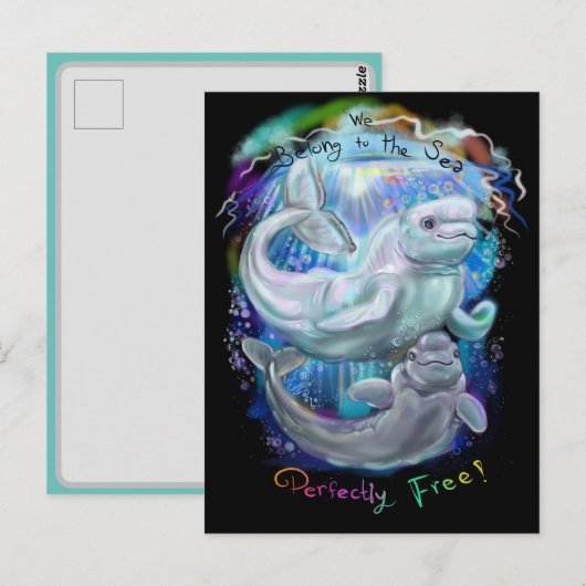 ベルーガクジラ ポストカード (正面/裏面)