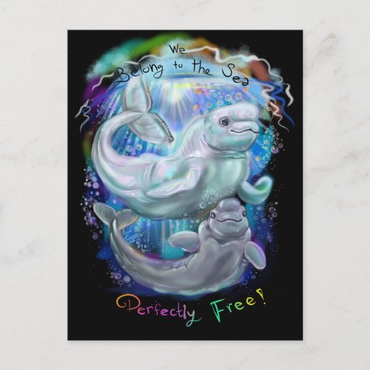 ベルーガクジラ ポストカード (正面)