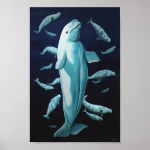 ベルーガホエールアートプリントマリネライフホエー絵画ルズ ポスター