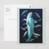 ベルーガホエールポストカードベルーガホエールアートカード ポストカード (正面/裏面)