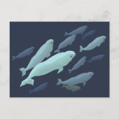 ベルーガホエールポストカードベルーガホエールカーカスタマイズド ポストカード (正面)