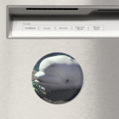 ベルーガ捕鯨磁石 マグネット (インサイチュ (食洗機))