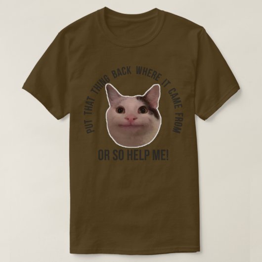 ベルーガ猫ミームがOから戻来した場所 Tシャツ (デザイン正面)