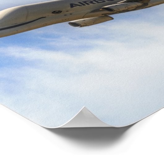 ベルーガ ポスター (角)