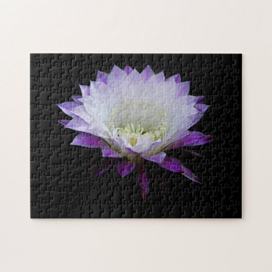 ベル・オブ・ザ・ボール・ナイト・ブルーマー ジグソーパズル (横)