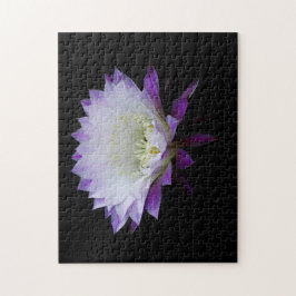 ベル・オブ・ザ・ボール・ナイト・ブルーマー ジグソーパズル