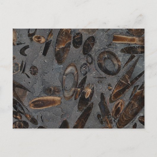 ベレンニテス ポストカード (正面)