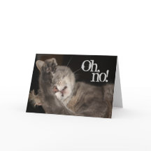 ベレーション誕生日、ネコ