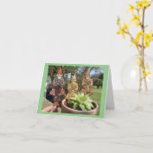 **ベレーション誕生日**格言間抜け カード (黄色い花)